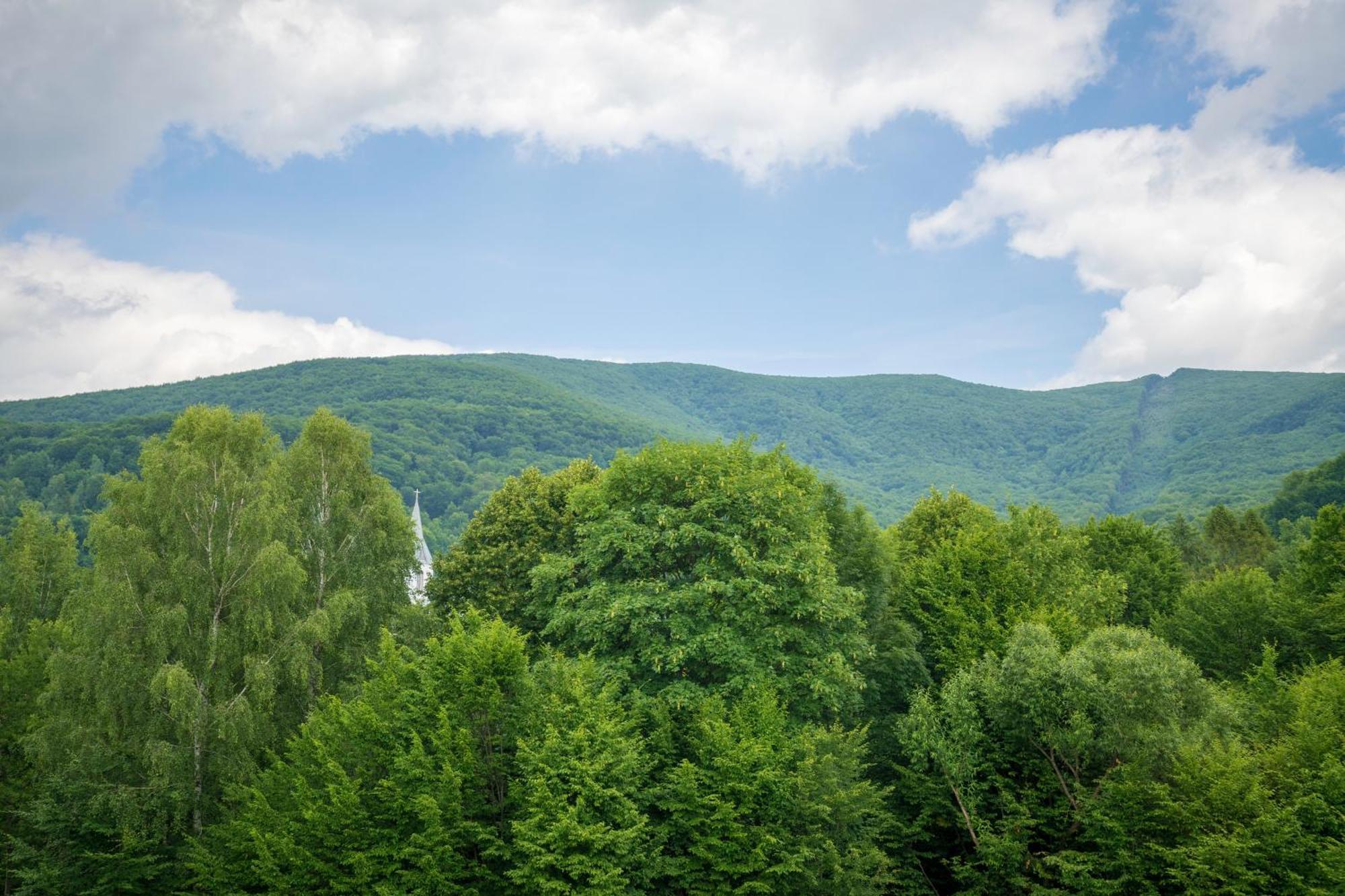 Vovk Gasthaus ซึนยัค ภายนอก รูปภาพ